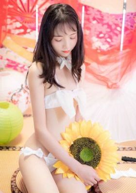 敢死队2在线观看_在线观看免费电影